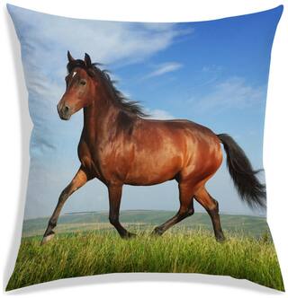 RADANYA Printed Cushion Cover 20x20 inch