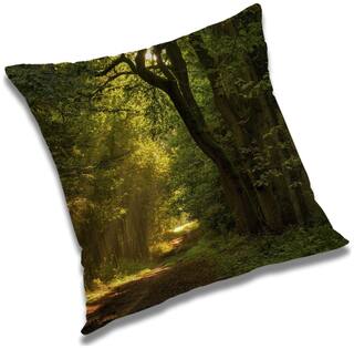 RADANYA Printed Cushion Cover with Filler Set 16x16 inch