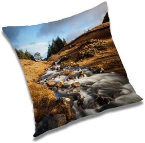 RADANYA Printed Cushion Cover with Filler Set 20x20 inch