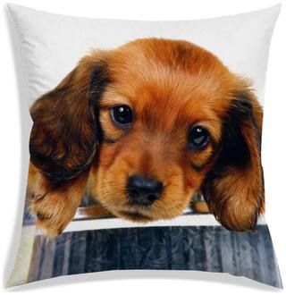 RADANYA Printed Polyester Brown Cushion Cover ( Regular , Pack of 1 )