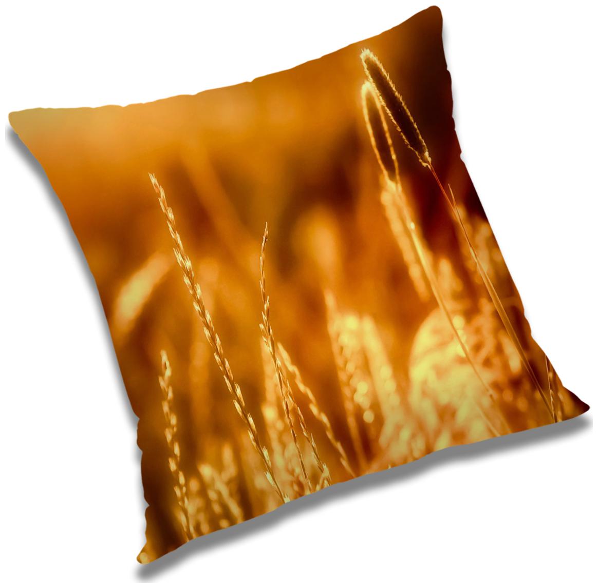 https://assetscdn1.paytm.com/images/catalog/product/H/HO/HOMRADANYA-PRINRADA9934035909A8B7/1563118261228_0..jpg