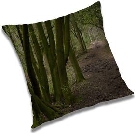 RADANYA Printed Cushion Cover with Filler Set 20x20 inch