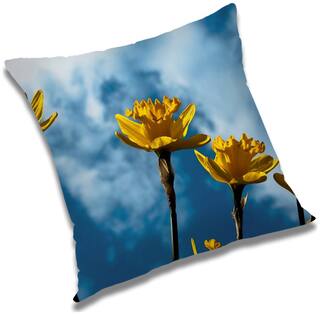 RADANYA Printed Cushion Cover with Filler Set 24x24 inch
