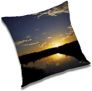 RADANYA Printed Cushion Cover with Filler Set 12x12 inch