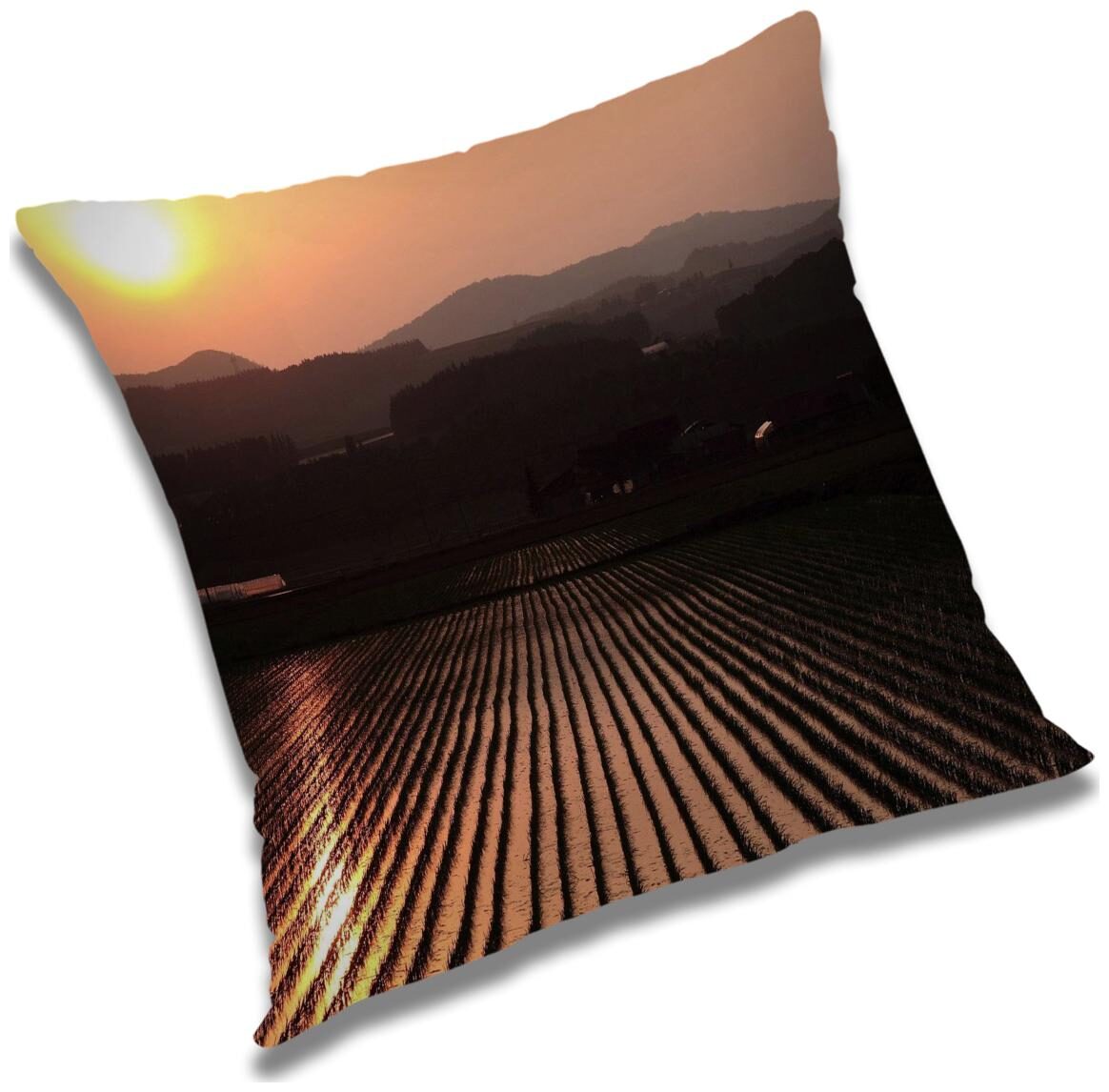 https://assetscdn1.paytm.com/images/catalog/product/H/HO/HOMRADANYA-PRINRADA9934035C41C2E2/1563045745423_0..jpg