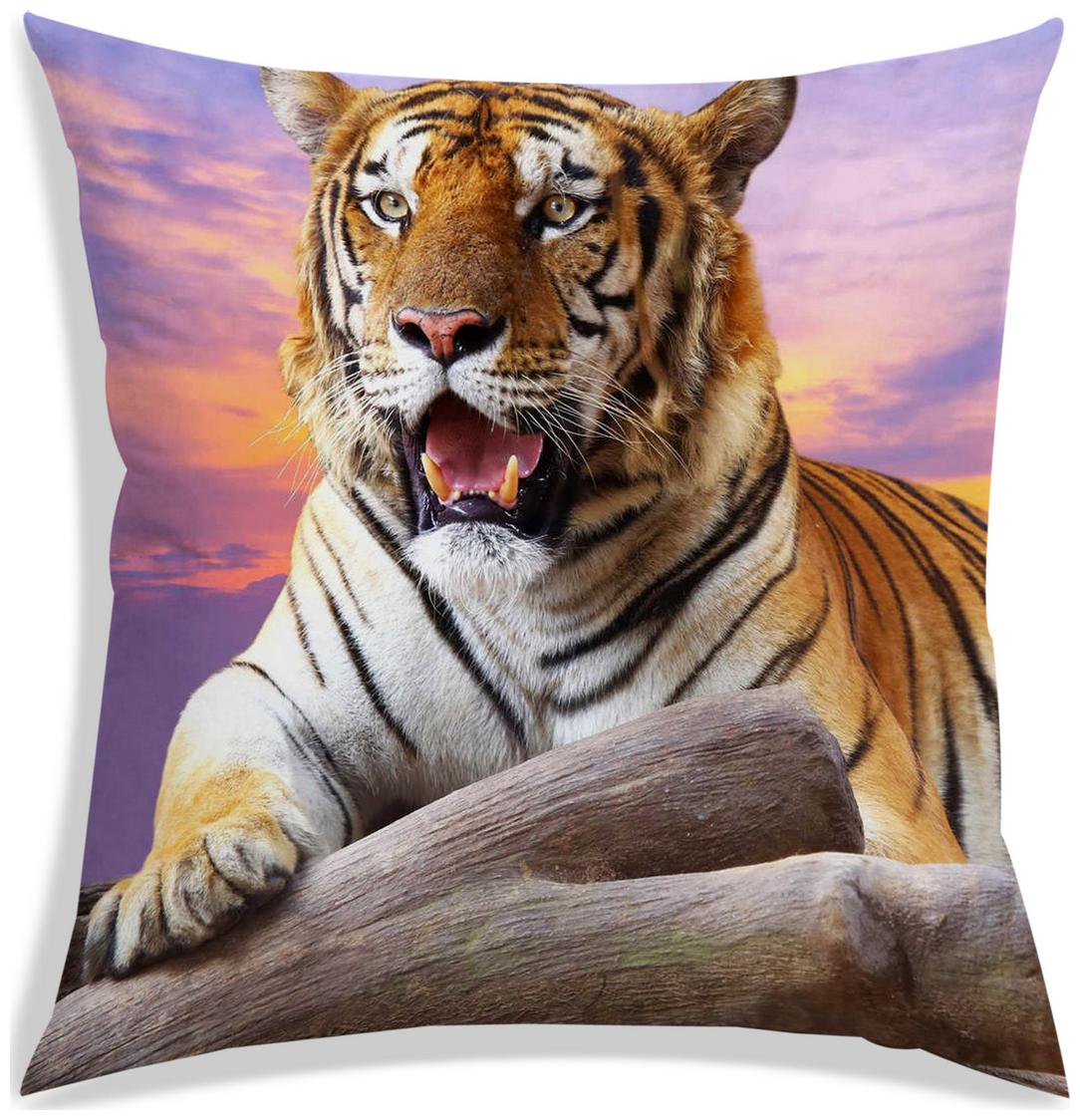 https://assetscdn1.paytm.com/images/catalog/product/H/HO/HOMRADANYA-PRINRADA9934035C6659AA/1563048320136_0..jpg