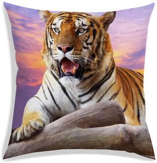 RADANYA Printed Cushion Cover 18x18 inch