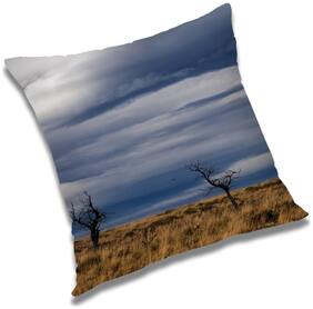 RADANYA Printed Cushion Cover with Filler Set 24x24 inch