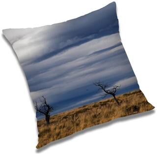 RADANYA Printed Cushion Cover with Filler Set 24x24 inch