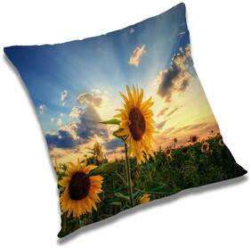 RADANYA Printed Cushion Cover with Filler Set 24x24 inch