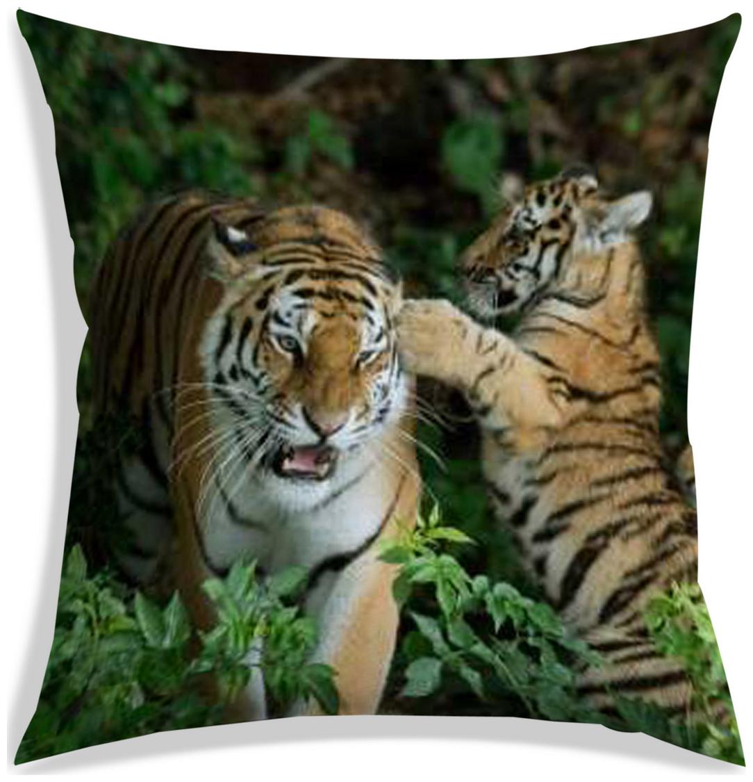 https://assetscdn1.paytm.com/images/catalog/product/H/HO/HOMRADANYA-PRINRADA9934035FE4DA97/1563045425162_0..jpg