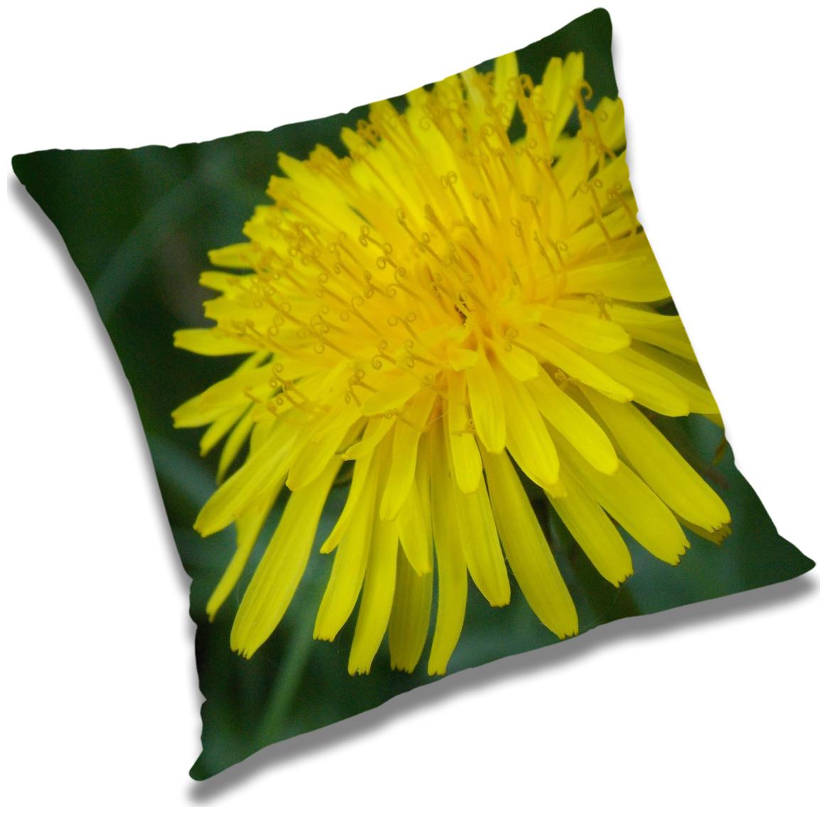 

RADANYA Printed Cushion Cover with Filler Set 20x20 inch