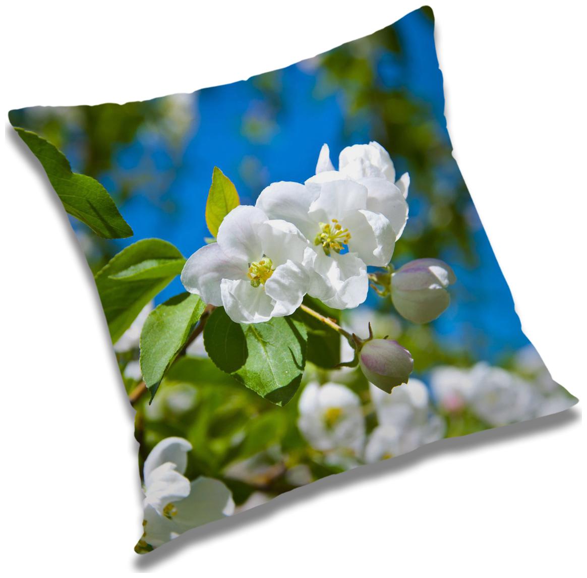 https://assetscdn1.paytm.com/images/catalog/product/H/HO/HOMRADANYA-PRINRADA993403618AFEA0/1563048496238_0..jpg