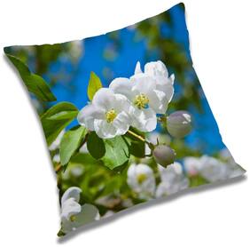 RADANYA Printed Cushion Cover with Filler Set 12x12 inch