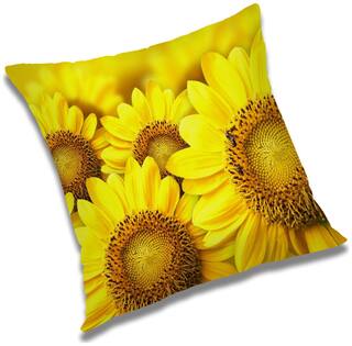 RADANYA Printed Cushion Cover with Filler Set 24x24 inch