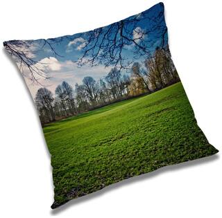 RADANYA Printed Cushion Cover with Filler Set 16x16 inch