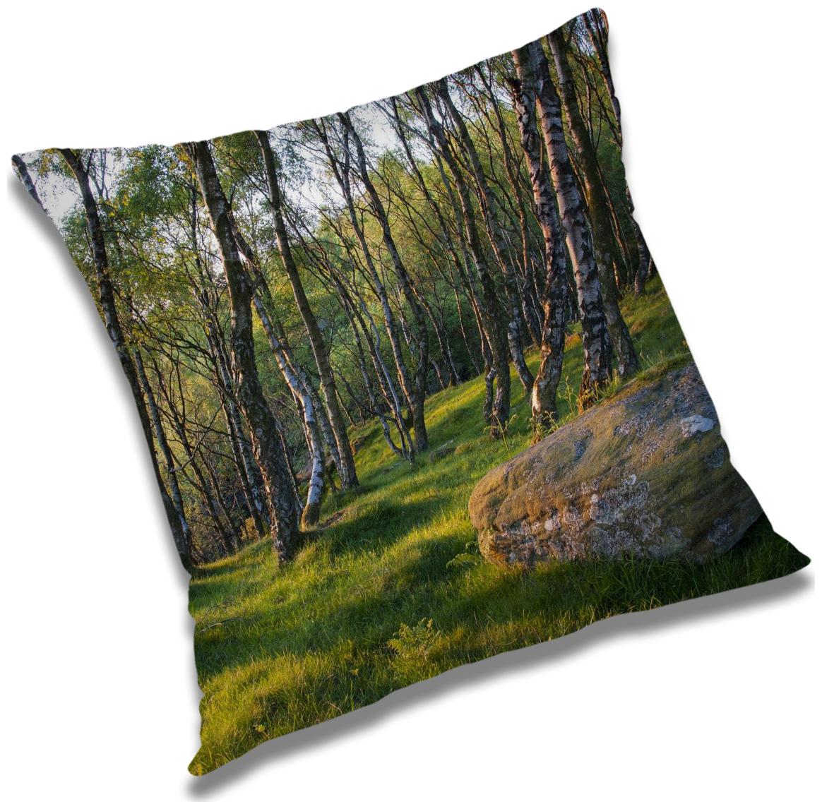 https://assetscdn1.paytm.com/images/catalog/product/H/HO/HOMRADANYA-PRINRADA9934036683528A/1563047817607_0..jpg