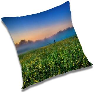RADANYA Printed Cushion Cover with Filler Set 16x16 inch