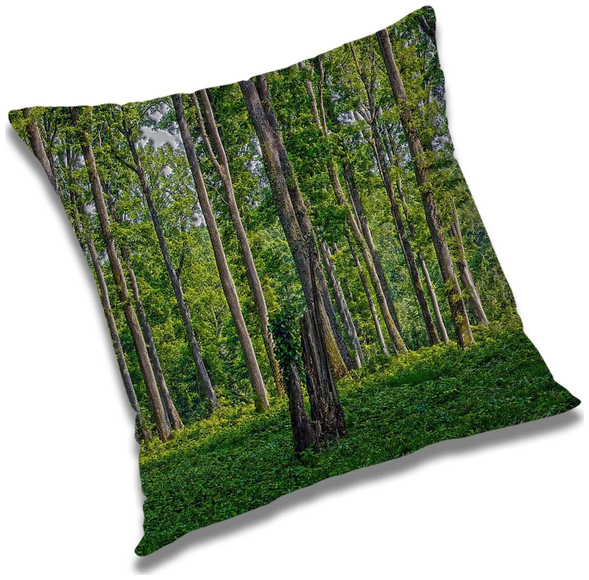 https://assetscdn1.paytm.com/images/catalog/product/H/HO/HOMRADANYA-PRINRADA9934036A509F5E/1563118368888_0..jpg