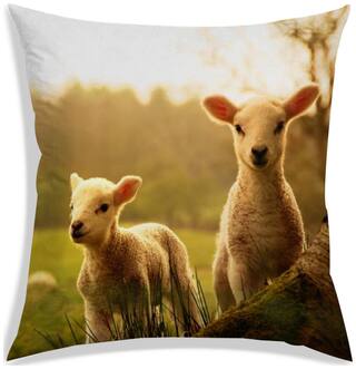 RADANYA Printed Cushion Cover 24x24 inch
