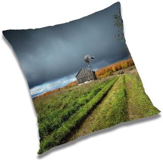 RADANYA Printed Cushion Cover with Filler Set 20x20 inch