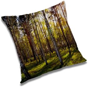 RADANYA Printed Cushion Cover with Filler Set 12x12 inch