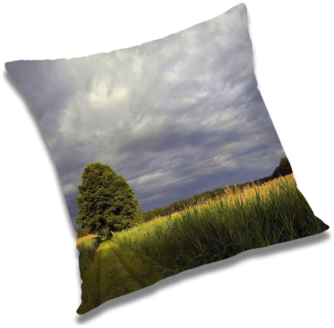 

RADANYA Printed Cushion Cover with Filler Set 24x24 inch