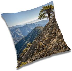 RADANYA Printed Cushion Cover with Filler Set 18x18 inch