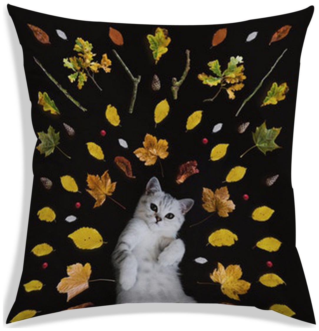 https://assetscdn1.paytm.com/images/catalog/product/H/HO/HOMRADANYA-PRINRADA9934036ED75D4E/1563045371718_0..jpg