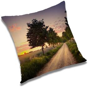 RADANYA Printed Cushion Cover with Filler Set 20x20 inch