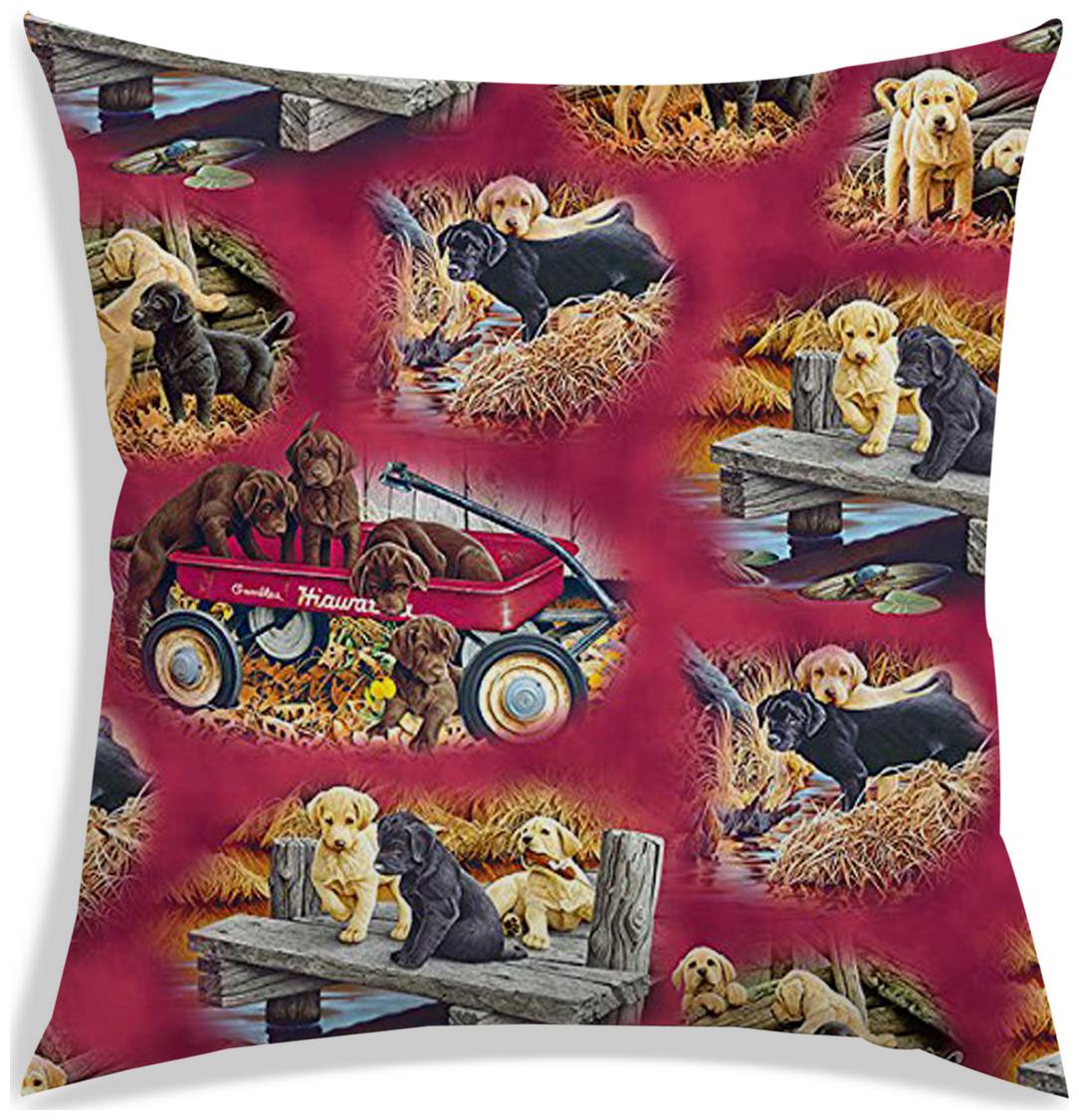https://assetscdn1.paytm.com/images/catalog/product/H/HO/HOMRADANYA-PRINRADA99340370D67CDC/1563119034208_0..jpg