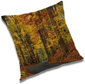 RADANYA Printed Cushion Cover with Filler Set 20x20 inch