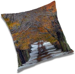 RADANYA Printed Cushion Cover with Filler Set 24x24 inch