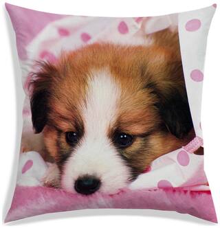 RADANYA Printed Polyester Pink Cushion Cover ( Small , Pack of 1 )