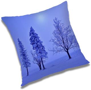 RADANYA Printed Cushion Cover with Filler Set 16x16 inch