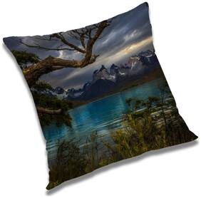 RADANYA Printed Cushion Cover with Filler Set 20x20 inch
