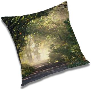 RADANYA Printed Cushion Cover with Filler Set 20x20 inch