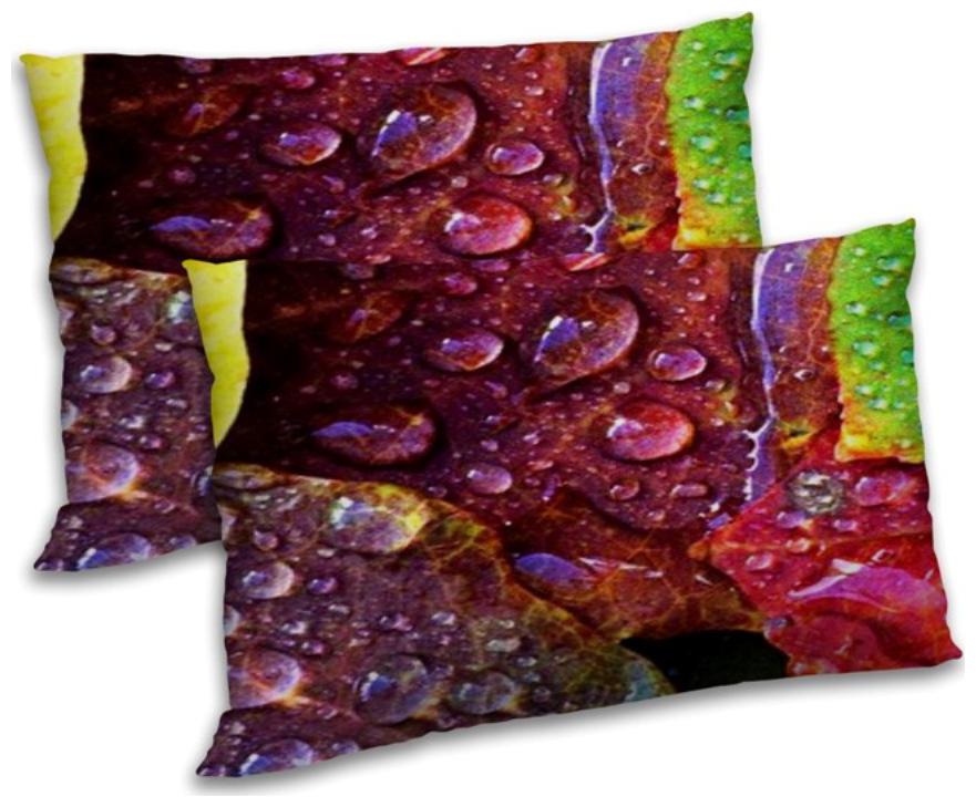 https://assetscdn1.paytm.com/images/catalog/product/H/HO/HOMRADANYA-PRINRADA99340376E7AE62/1563045494927_0..jpg