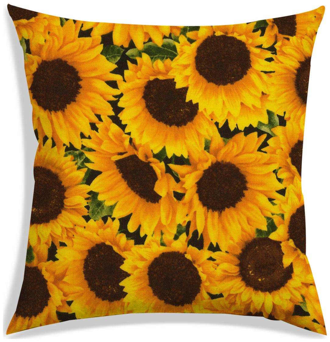 https://assetscdn1.paytm.com/images/catalog/product/H/HO/HOMRADANYA-PRINRADA99340377CBB3A7/1563117766331_0..jpg