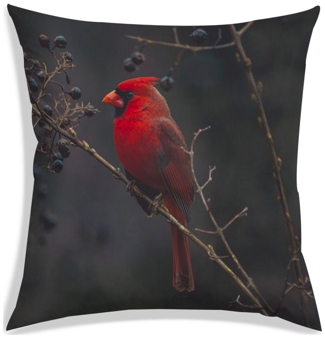 https://assetscdn1.paytm.com/images/catalog/product/H/HO/HOMRADANYA-PRINRADA9934037DDF7BD7/1563045360066_0..jpg