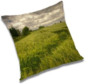 RADANYA Printed Cushion Cover with Filler Set 12x12 inch