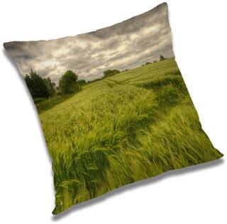 RADANYA Printed Cushion Cover with Filler Set 12x12 inch