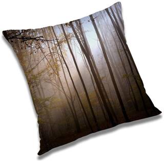 RADANYA Printed Cushion Cover with Filler Set 16x16 inch