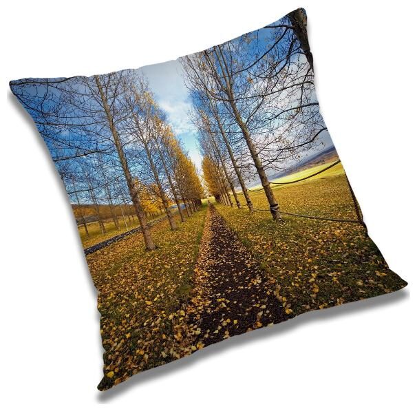 

RADANYA Printed Cushion Cover with Filler Set 12X12 inch