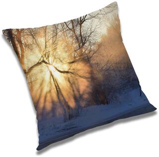RADANYA Printed Cushion Cover with Filler Set 24x24 inch