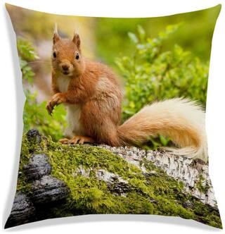 RADANYA Printed Polyester Peach Cushion Cover ( Extra large , Pack of 1 )