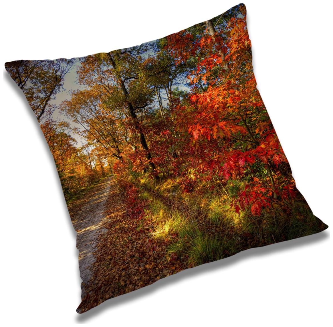 

RADANYA Printed Cushion Cover with Filler Set 16x16 inch
