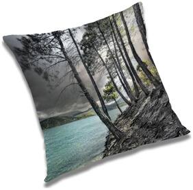RADANYA Printed Cushion Cover with Filler Set 24x24 inch
