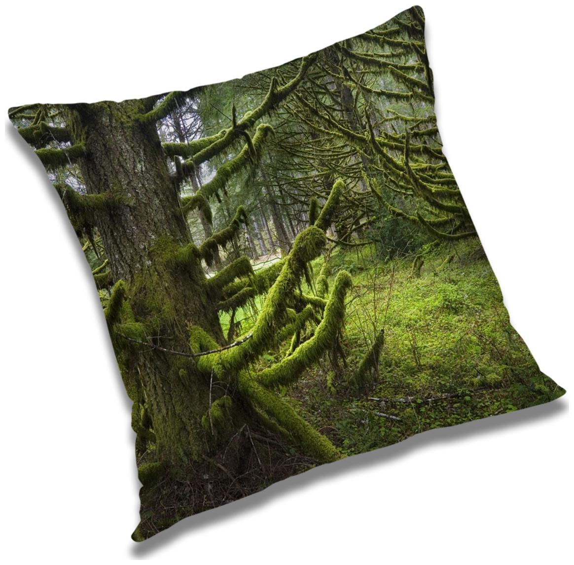 https://assetscdn1.paytm.com/images/catalog/product/H/HO/HOMRADANYA-PRINRADA99340390DACFDE/1563046553002_0..jpg