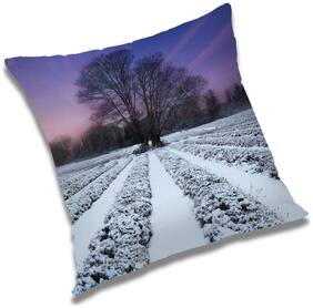 RADANYA Printed Cushion Cover with Filler Set 24x24 inch